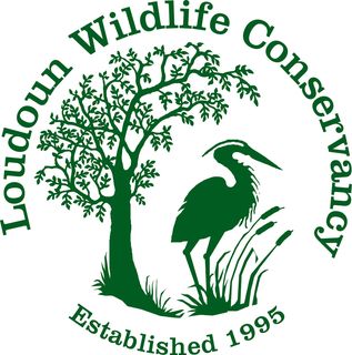 Loudoun Wildlife Conservancy Logo